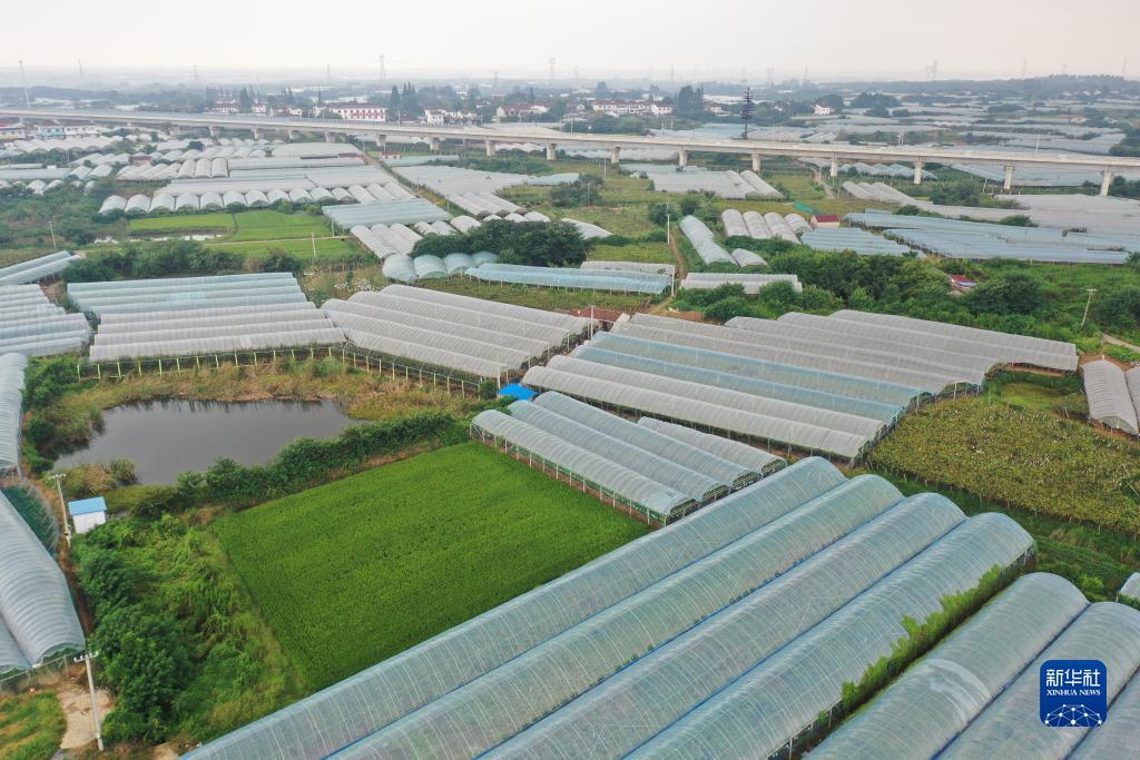 保时捷平台下载